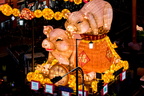 Special Events 2019